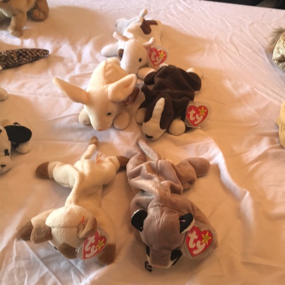 TY Beanie Baby Collection. - Picture 4 of 6